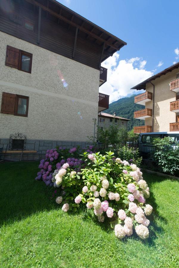 Residence Alpen Casavacanze Pinzolo Dış mekan fotoğraf